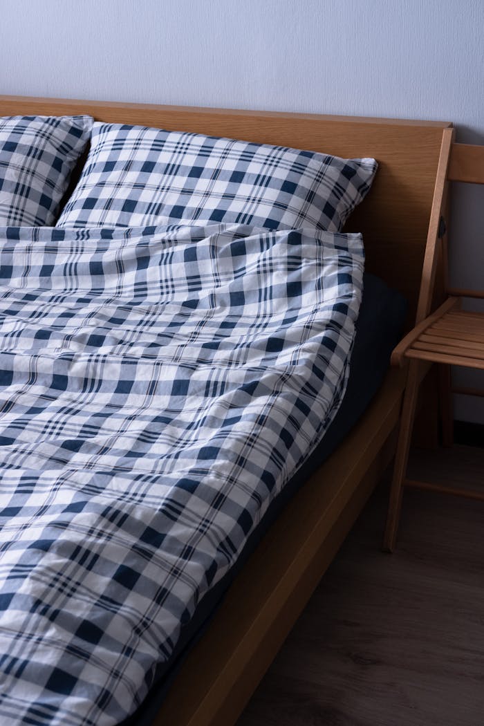 Cozy bedroom featuring a stylish checkered bedding set with wooden accents.
